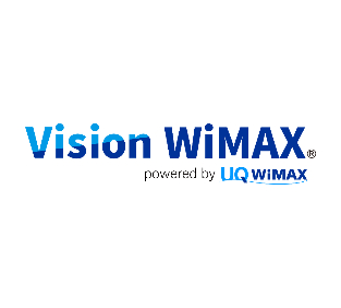 Vision WiMAX 5G